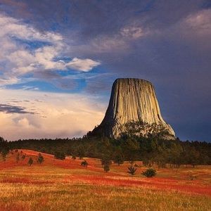 Meet your Posher, Sayan